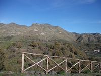 nte Mojo-30122011 025